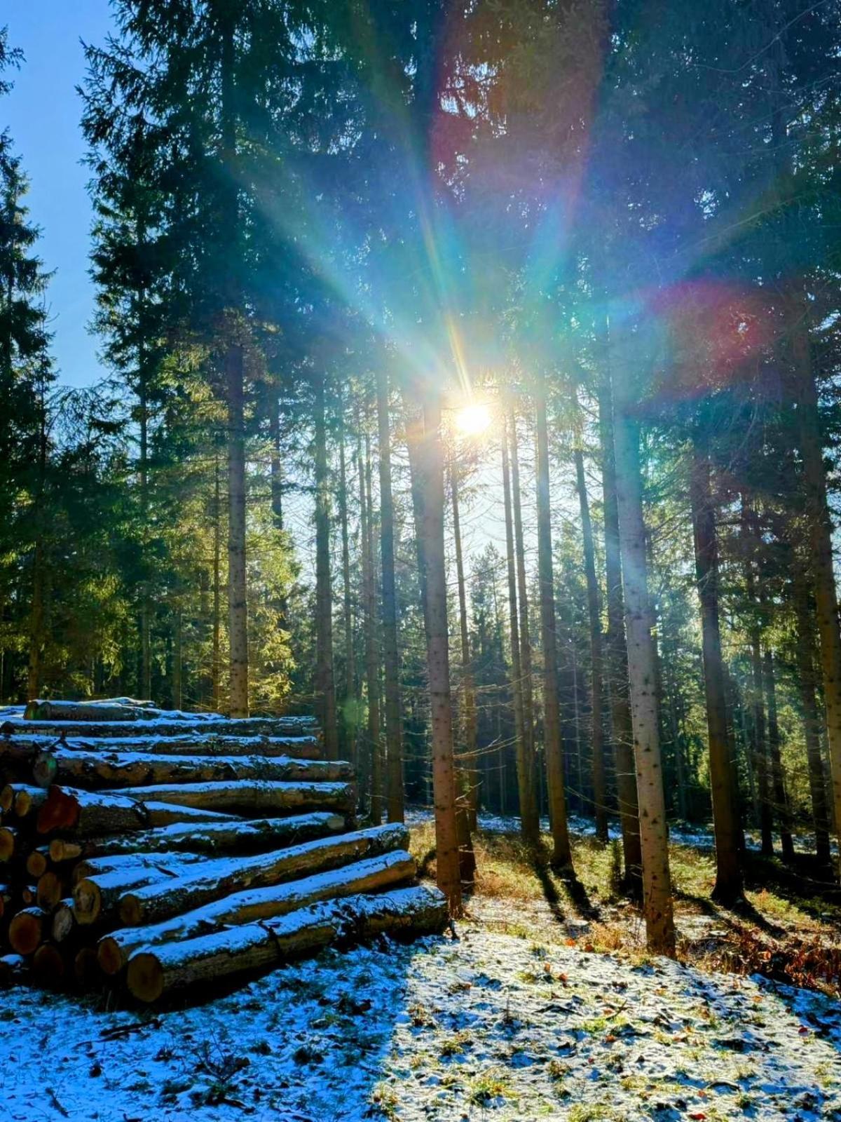 Marta Lipno nad Vltavou