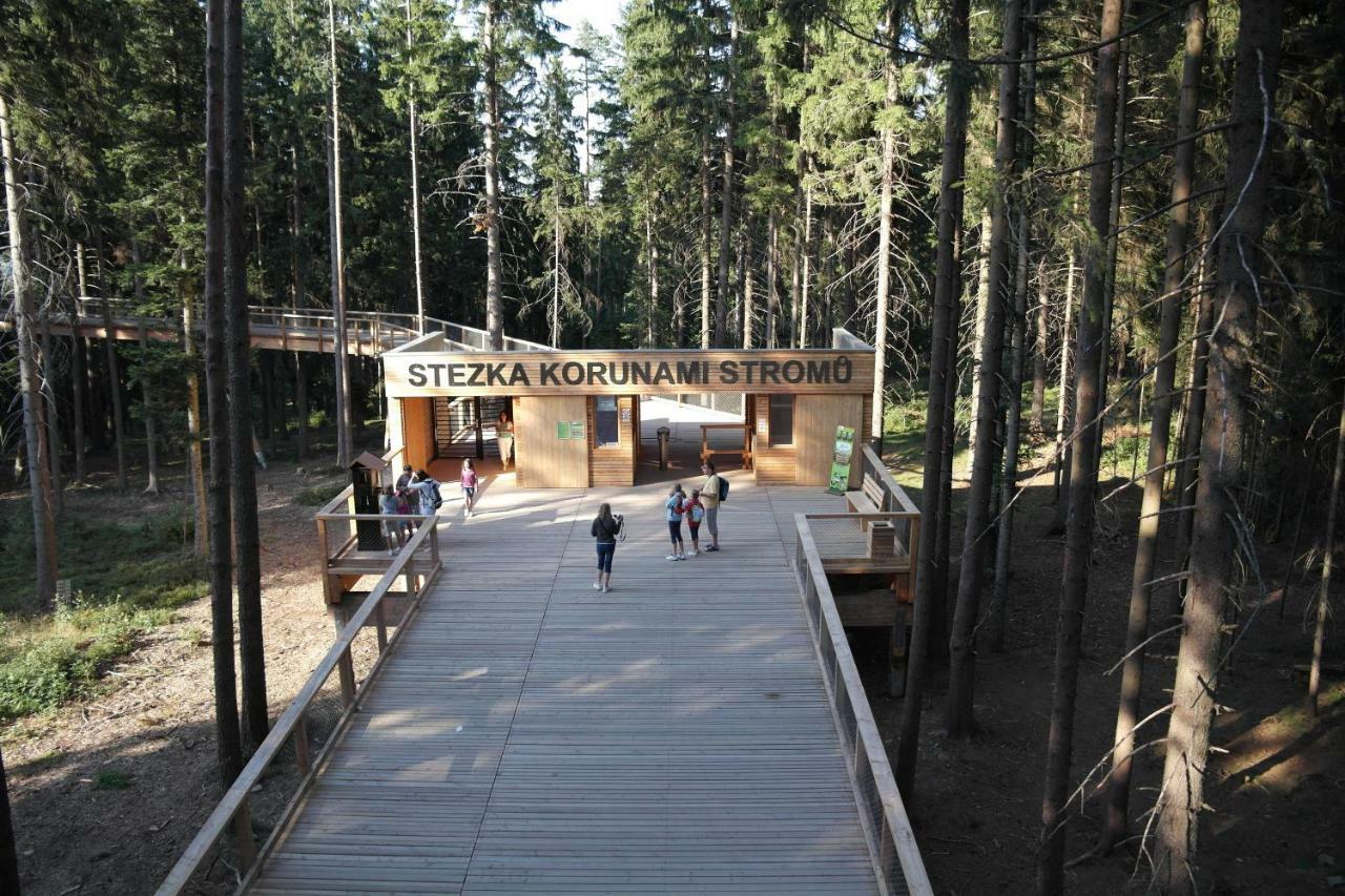 Marta Apartment Lipno nad Vltavou